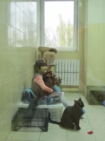 IMG_6201_новый размер.webp