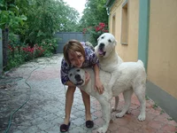 DSC00170-2.webp
