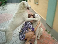 DSC00180-2.webp