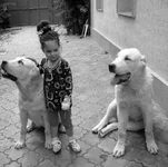 DSC0019621-2.webp