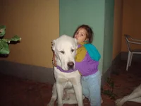 DSC00398_измен.размер.webp
