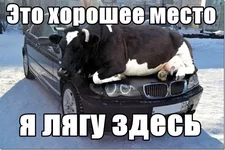 BoOqdCRNgrI.webp