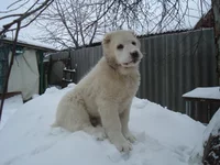 DSC00021_измен.размер.webp