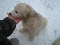 DSC00026_измен.размер.webp