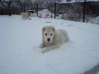 DSC00032_измен.размер.webp