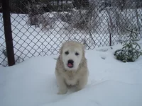 DSC00035_измен.размер.webp