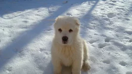 DSC09833_измен.размер.webp