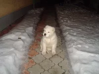 DSC09852_измен.размер.webp