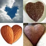 1750446+++++++.webp