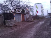 WP_001405.webp