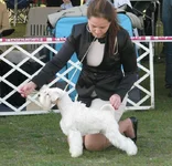 IMG_9178649291051854358105.webp