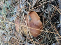 20131110_131202.webp