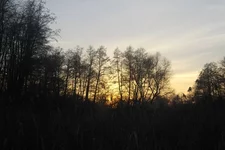 wgjZJEcbxk.th.webp