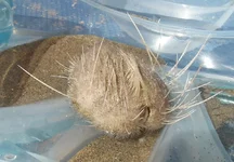 DSCF7094-1.webp