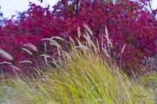 FOTO1755.webp