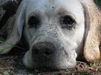 , теперь никто не заметит.webp