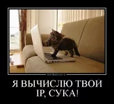 0905121107037247.webp