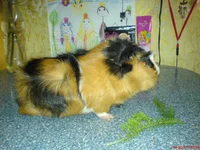 DSC07509.webp
