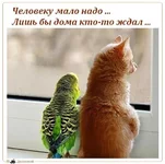 getImage.webp