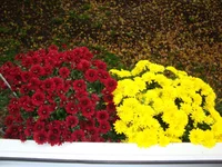 DSC03872.webp