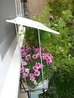 DSC03873.webp