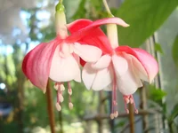 DSC03830.webp