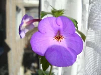 DSC03846.webp