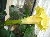 DSC03854.webp