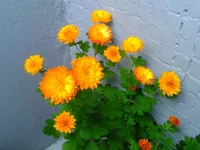 2013_10_14_09_15_08.webp