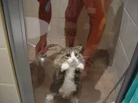 727JdLdu_9k.webp