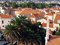 kadr00003.webp