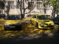 PA210487.webp
