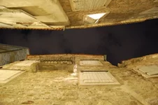 x_0e614c1a.webp