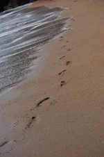 x_2fa53c8d.webp