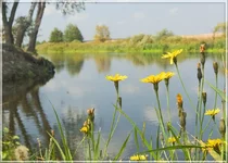 CRW_8203.webp