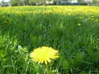 P5020159.webp