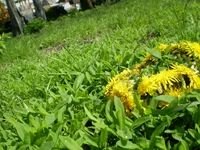 P5020165.webp