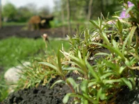 P5020220.webp