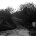 IMG_0009 copy ev.webp