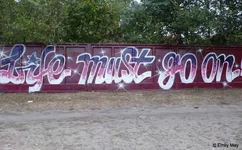 L1000859_690x528.webp
