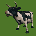 Animated_cow.gif