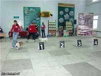 2187ec23374c.webp