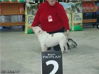 52653d137da9.jpg