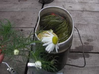 05.webp