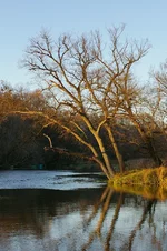 IMGP9844_960.webp