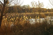 IMGP9850_1100.jpg