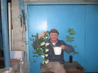  с цветущим жасмином 002_640x480.webp