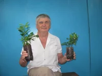  и каламандины_640x480.webp