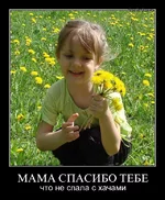 jtug0s2jlthb.webp