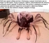 ХФ2.jpg